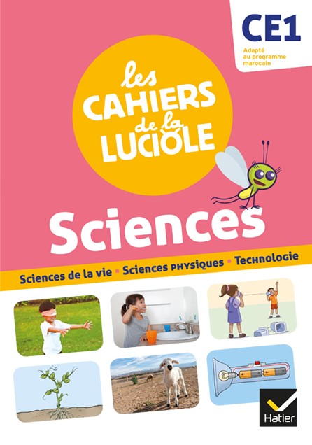 Luciole Maroc CE1